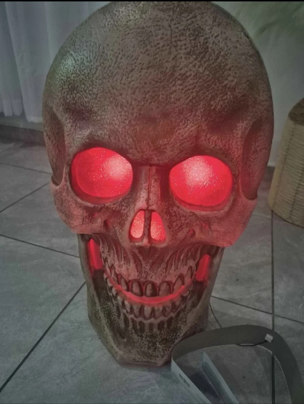 Halloween Decor